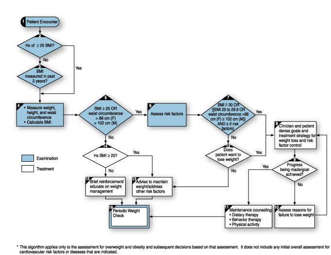 Assessment and treatment algorithm for overweight and obesity (file image)