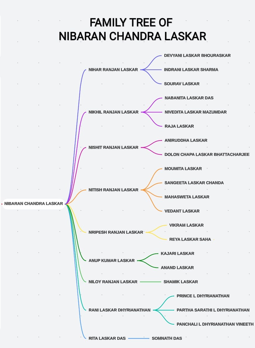 Illustrative family tree diagram (pedigree) representing family history of disease.