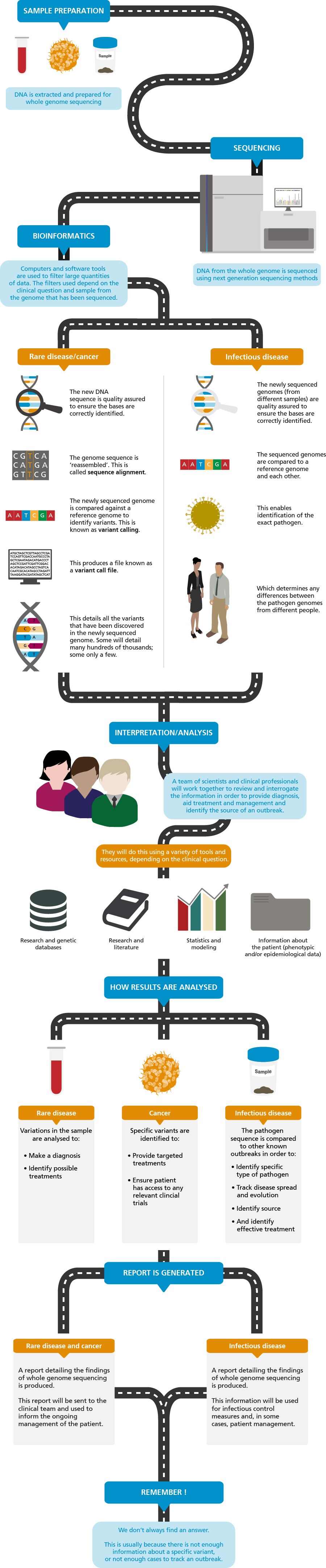 Whole genome sequencing pipeline (illustrative)
