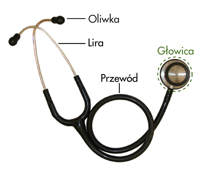 Illustrative stethoscope image (file: Stethoscope pl.png), neutral clinical symbol for paediatrics